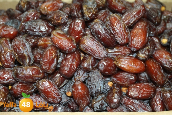 zhra2 tamer 705 (18).JPG